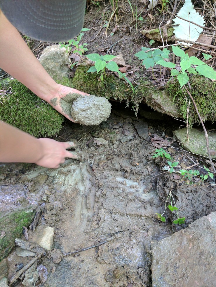 IMG_20170803_153105 (1).jpg